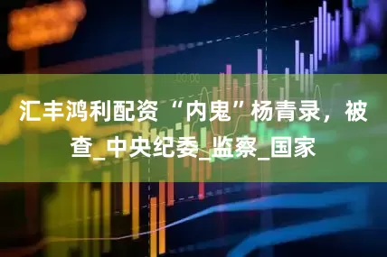 汇丰鸿利配资 “内鬼”杨青录，被查_中央纪委_监察_国家