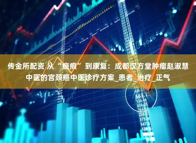 传金所配资 从 “癥瘕” 到康复：成都汉方堂肿瘤赵淑慧中医的宫颈癌中医诊疗方案_患者_治疗_正气