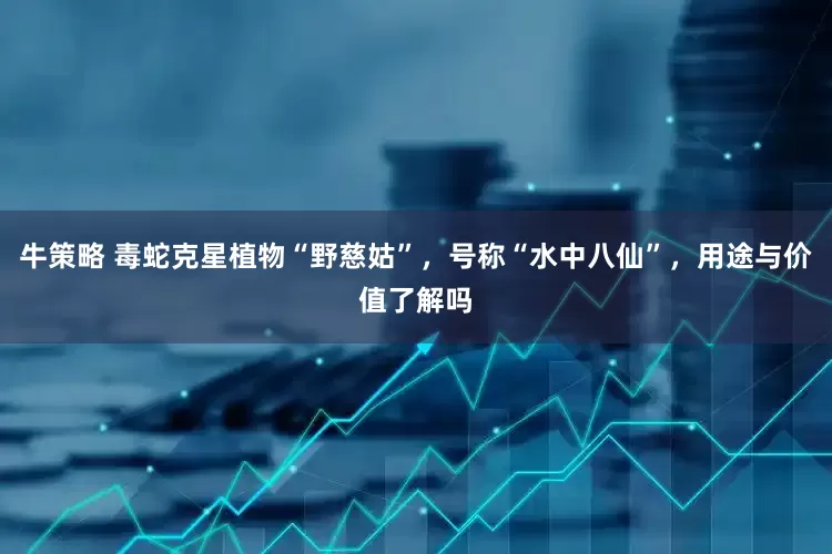 牛策略 毒蛇克星植物“野慈姑”，号称“水中八仙”，用途与价值了解吗