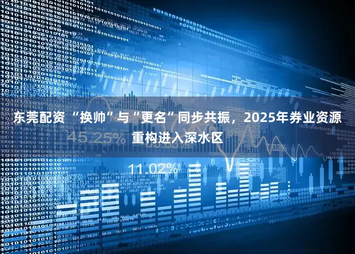 东莞配资 “换帅”与“更名”同步共振,2025年券业资源重构进入深水区