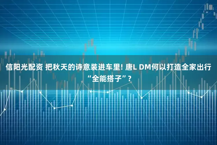 信阳光配资 把秋天的诗意装进车里! 唐L DM何以打造全家出行“全能搭子”?
